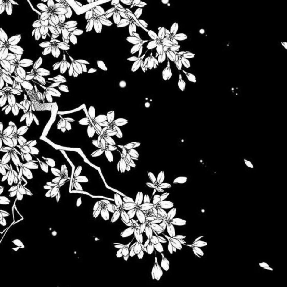 Veiiller (veiiller.lens) Lens social identity (.lens handle) PFP