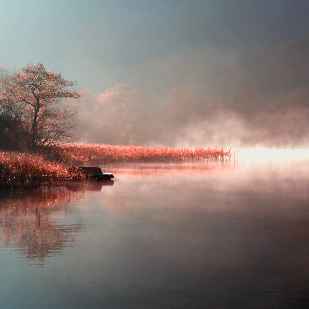 grfrfrfrfrfs (zelon.lens) Lens social identity (.lens handle) PFP