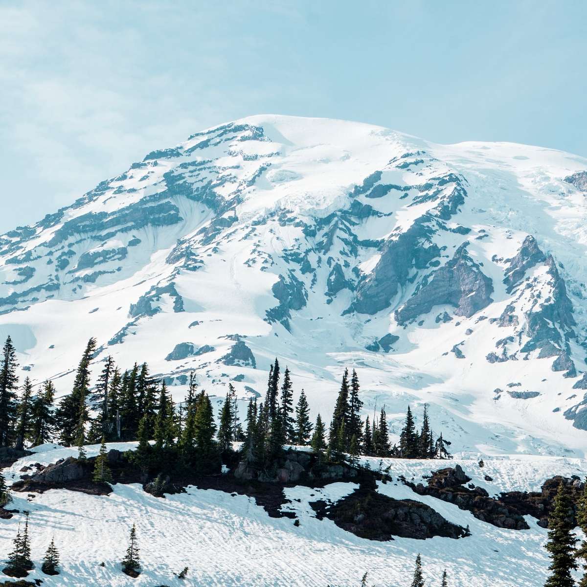 ff (algorix.lens) Lens social identity (.lens handle) PFP