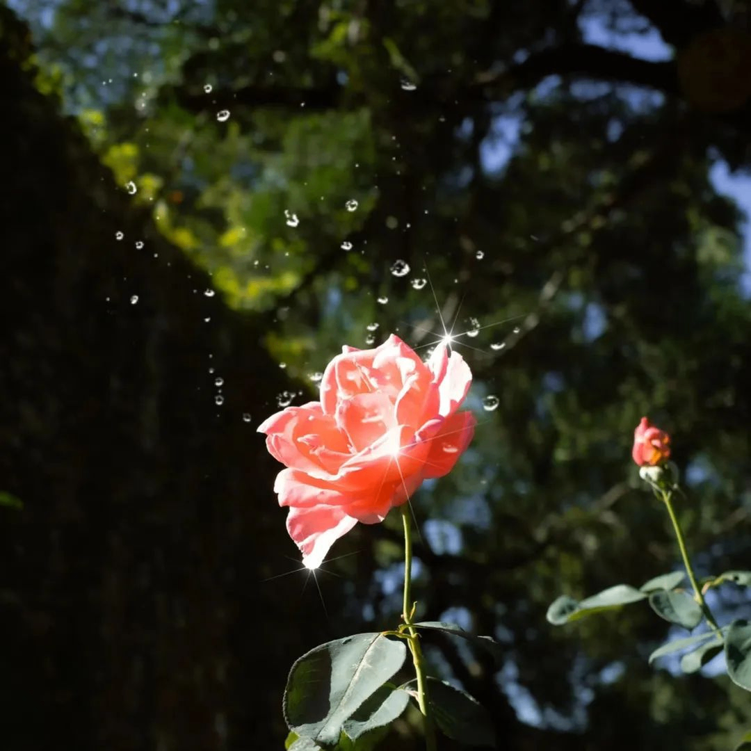 Vivien Augustus (hhkkk.lens) Lens social identity (.lens handle) PFP