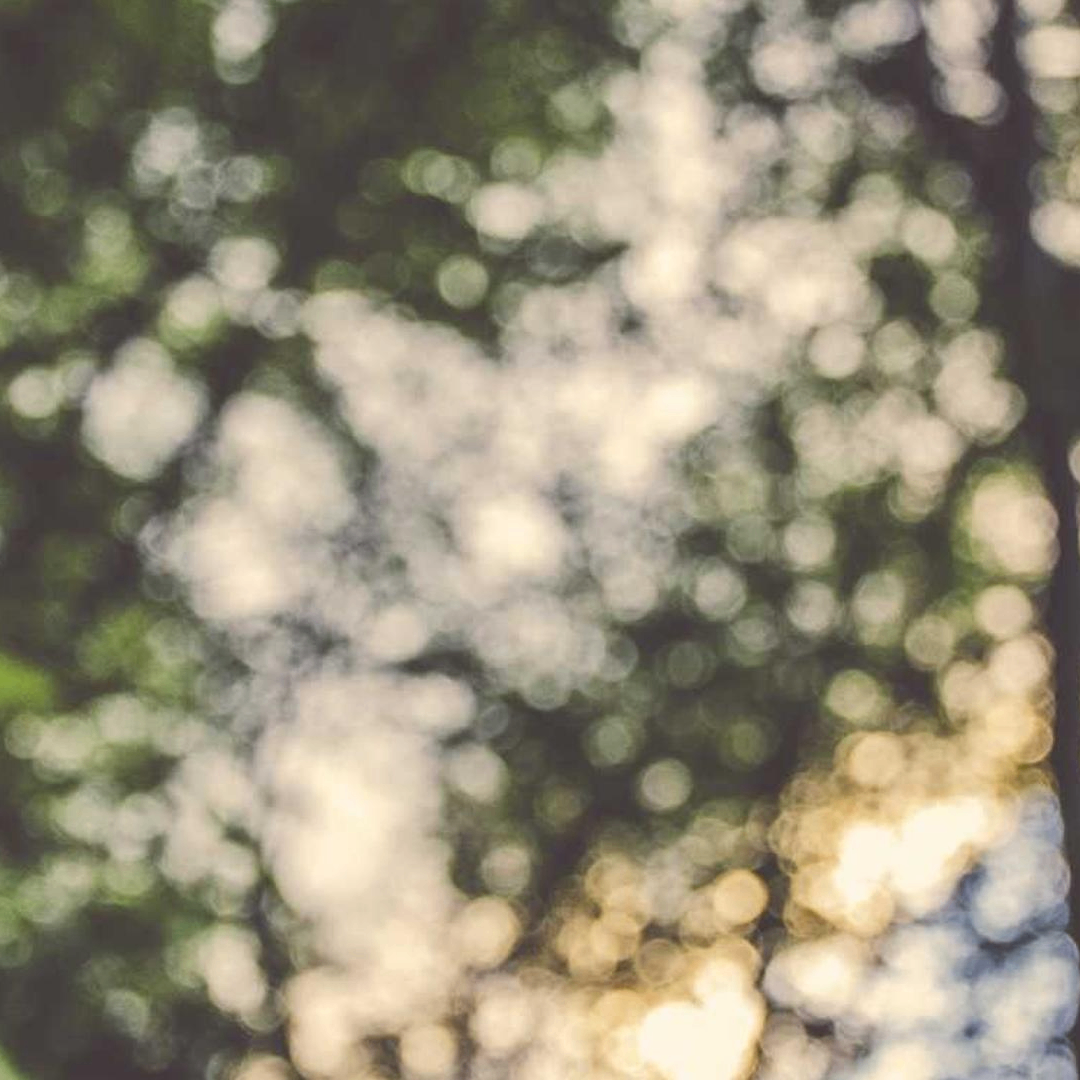 seaSorcerer (smuride74643.lens) Lens social identity (.lens handle) PFP