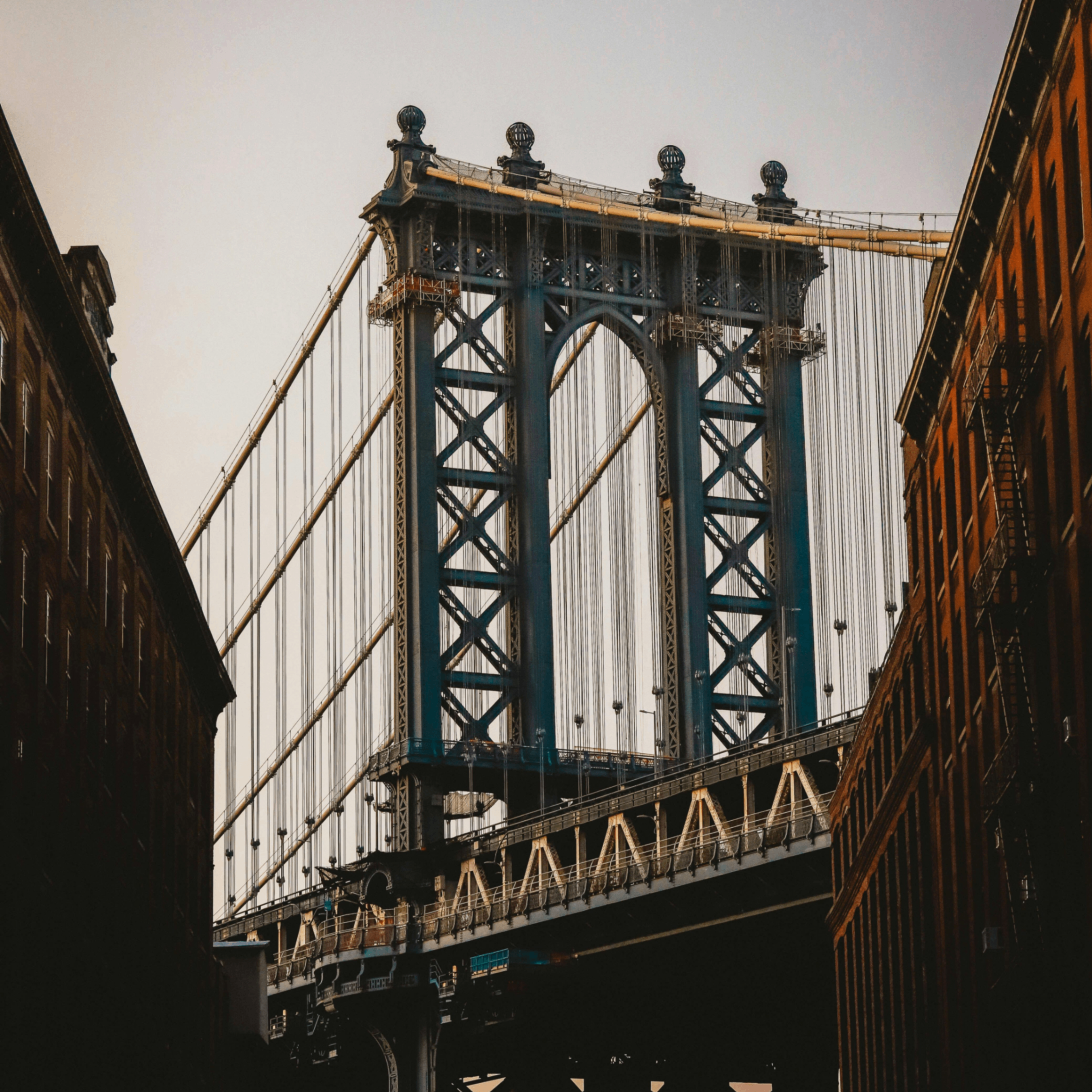 rosez (rosez.lens) Lens social identity (.lens handle) PFP