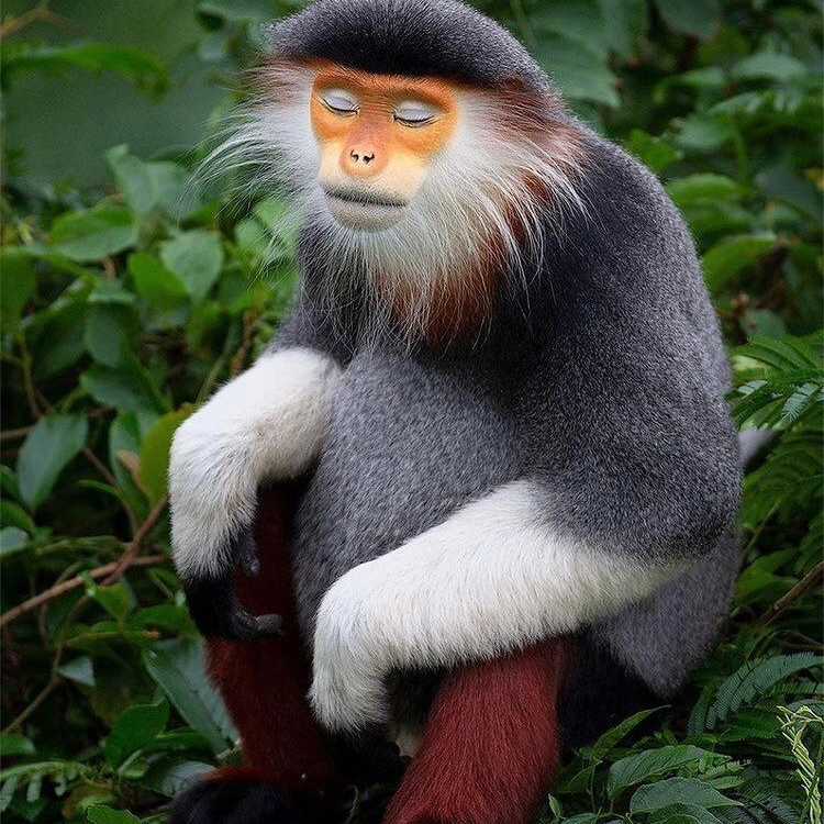 best (dothebest.lens) Lens social identity (.lens handle) PFP