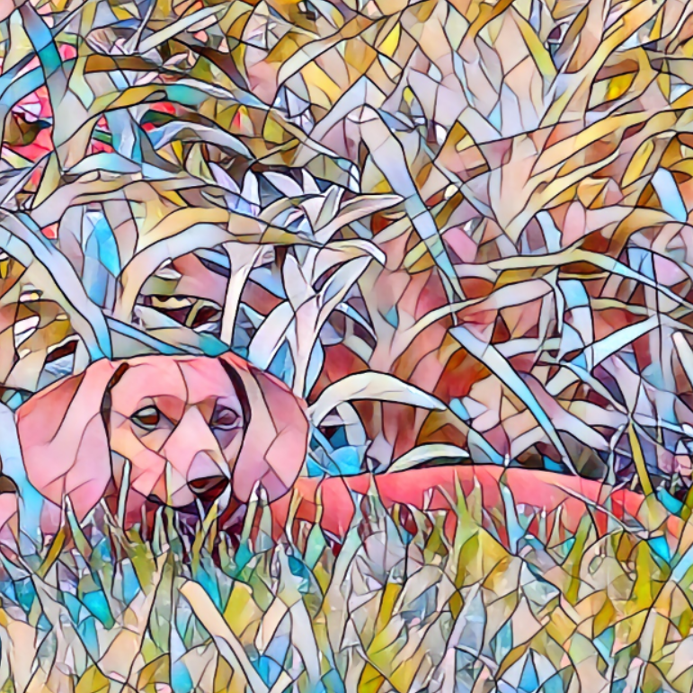 Bex (doxigirl.lens) Lens social identity (.lens handle) PFP