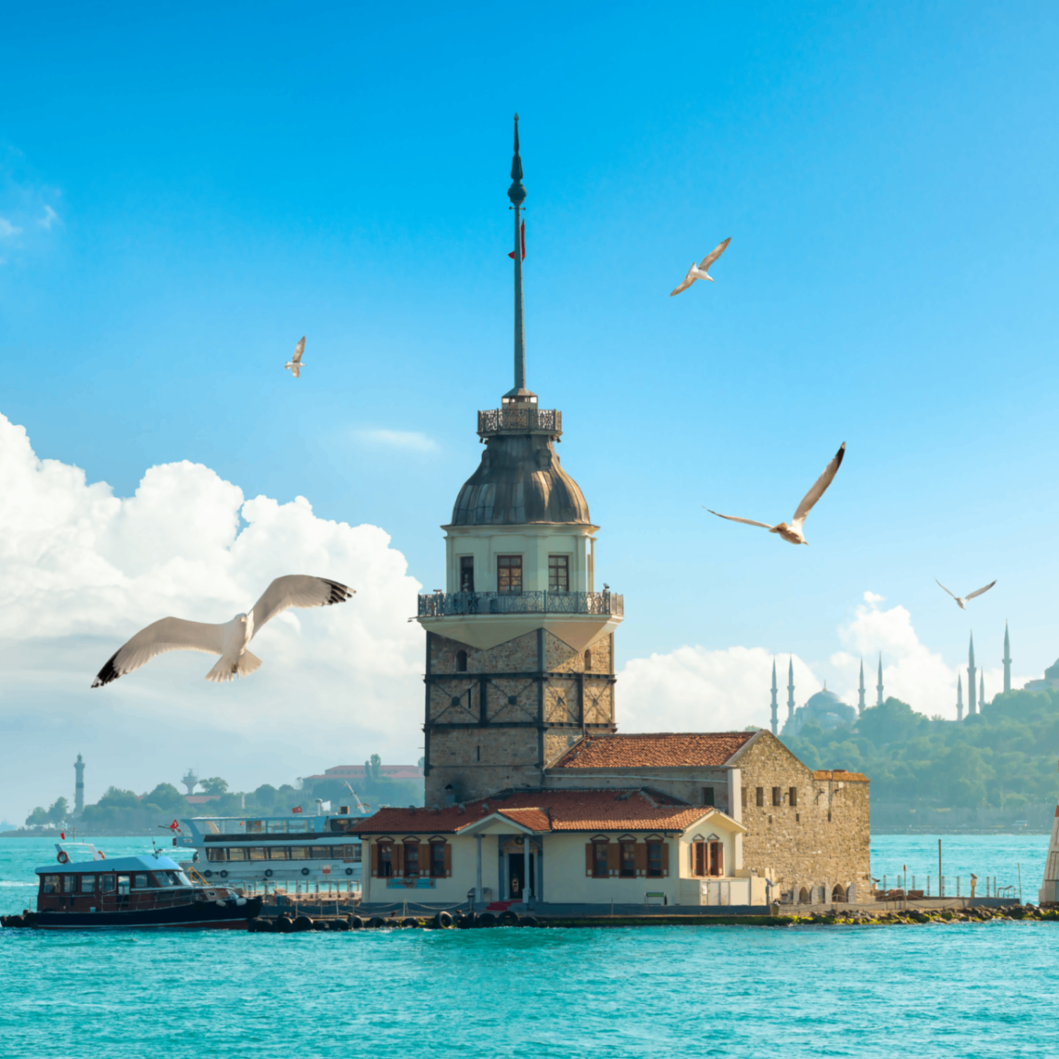 Mustafa (sallak.lens) Lens social identity (.lens handle) PFP