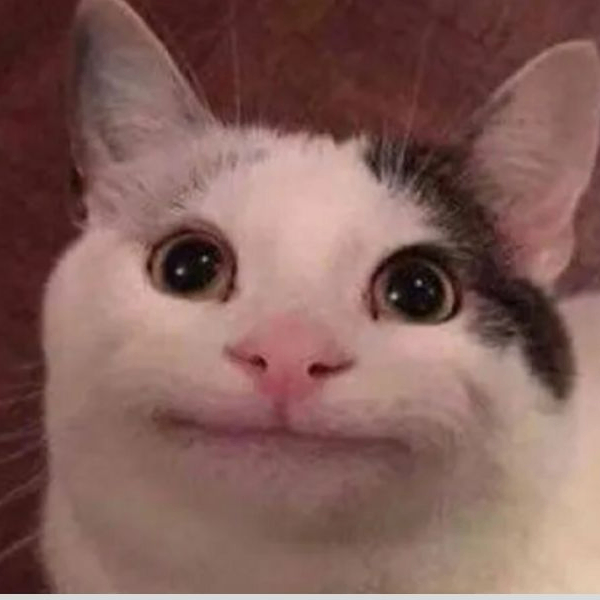 Cata airdrop (quannjr.lens) Lens social identity (.lens handle) PFP