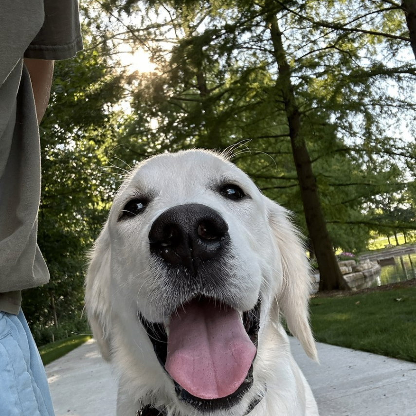 Minh ga lac (thienminh2022.lens) Lens social identity (.lens handle) PFP