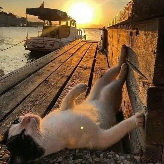 ggabbs.lens Lens social identity (.lens handle) PFP