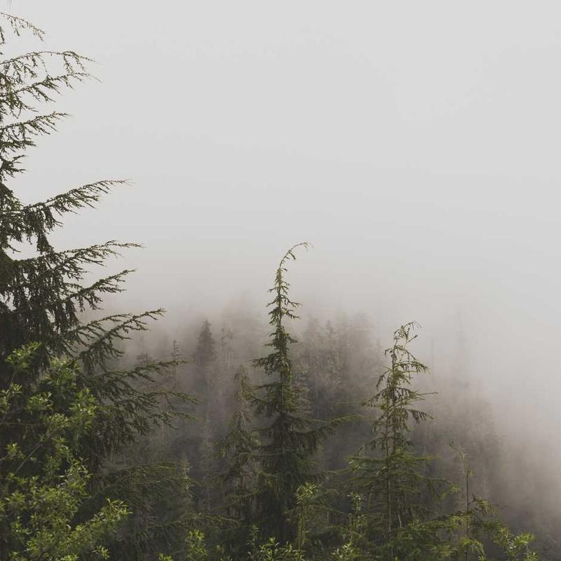 reefRanger (baltesbyer39494.lens) Lens social identity (.lens handle) PFP