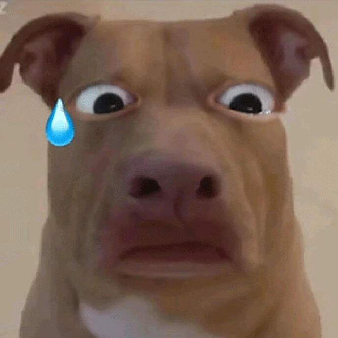 heromaika (heromaika.lens) Lens social identity (.lens handle) PFP