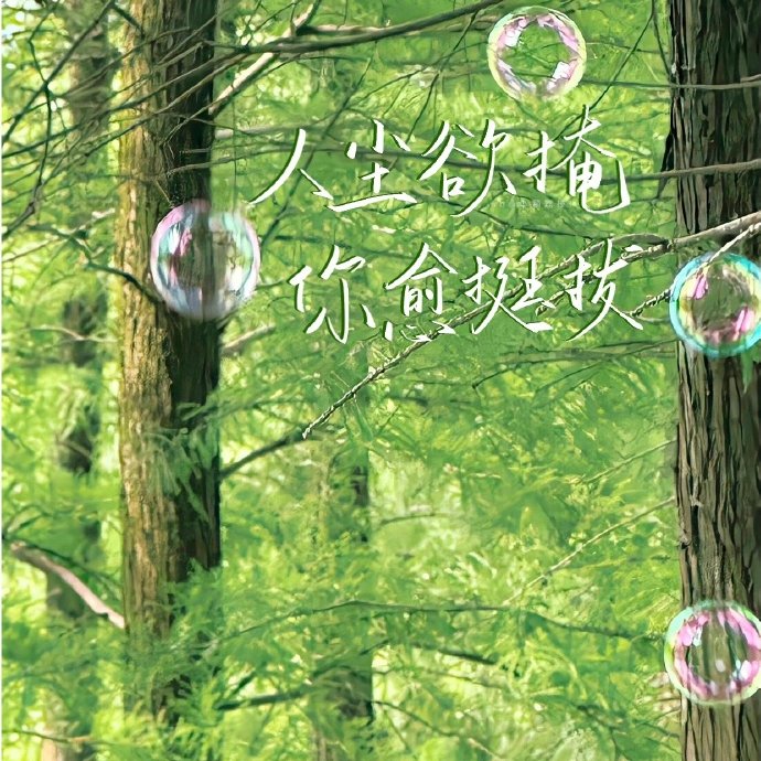 b16648311 (b16648311.lens) Lens social identity (.lens handle) PFP