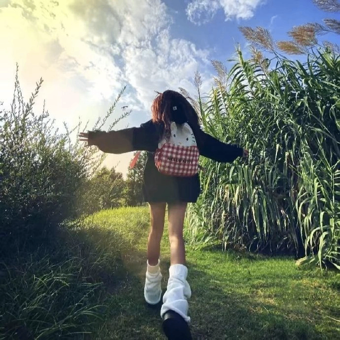 evidoer (evidoer.lens) Lens social identity (.lens handle) PFP