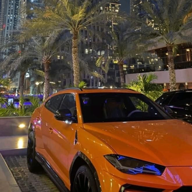 Stepan (stepa013.lens) Lens social identity (.lens handle) PFP