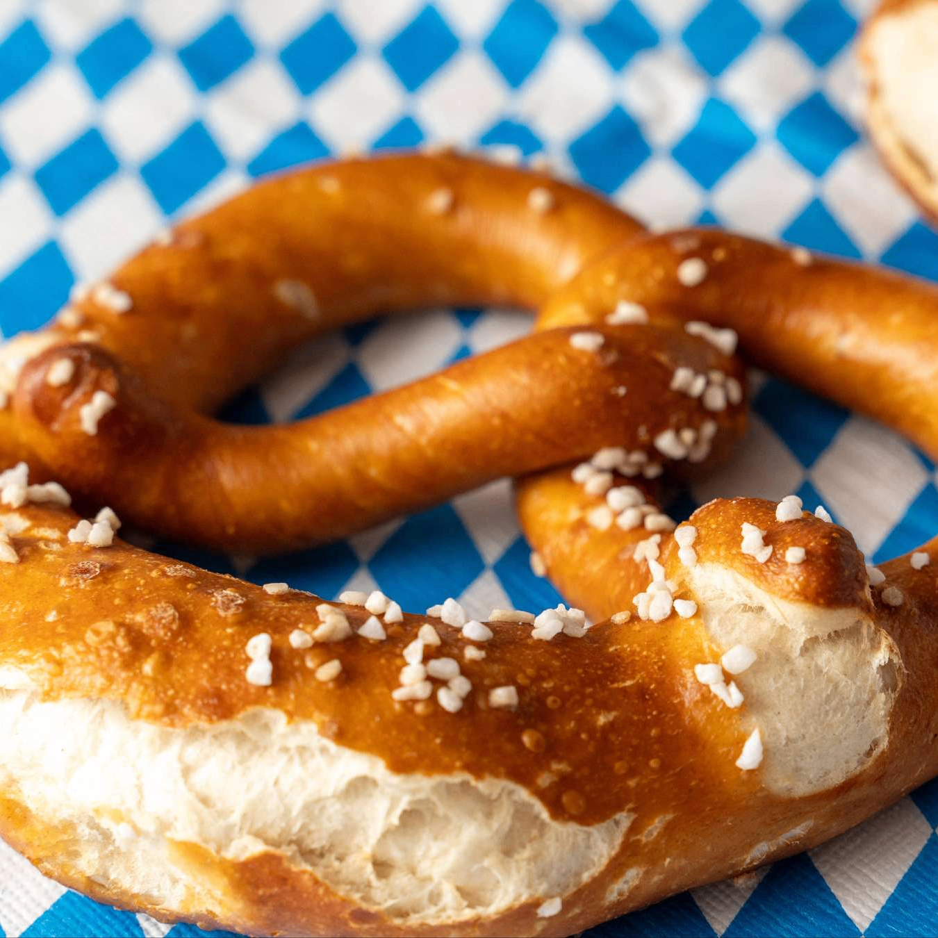 Bavrian Patriot (0x991356.lens) Lens social identity (.lens handle) PFP