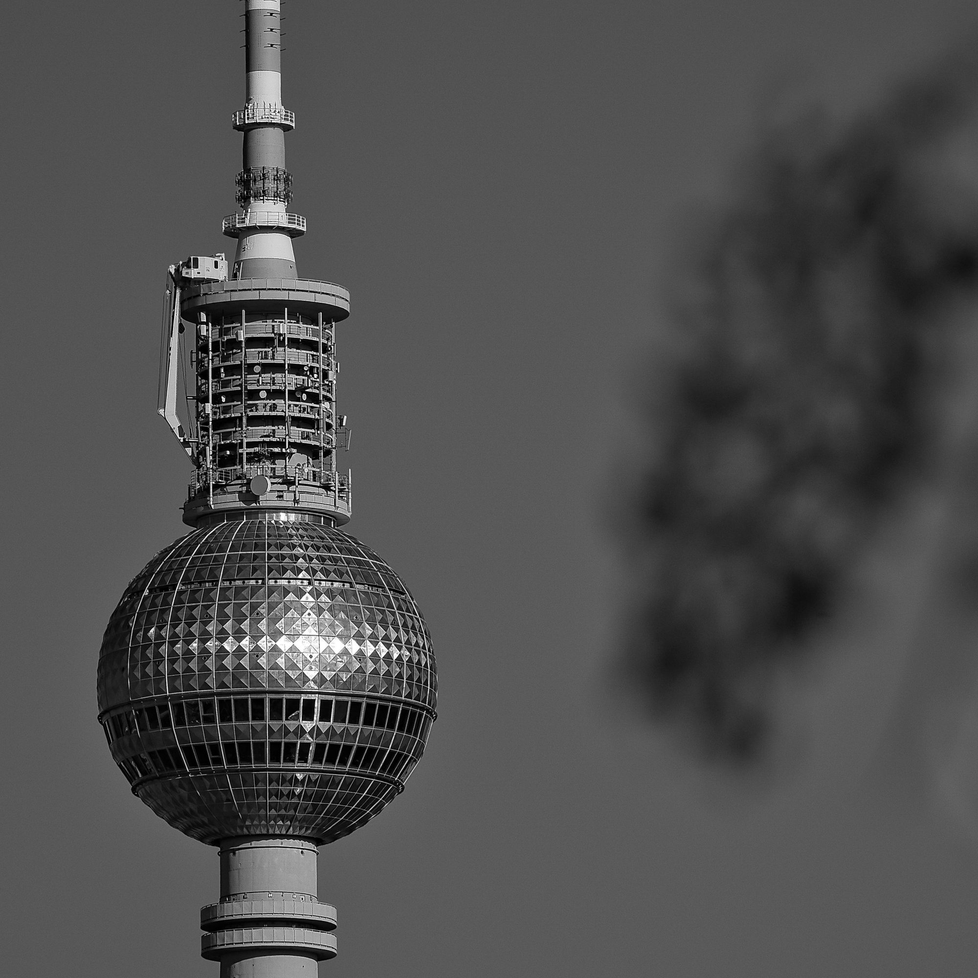 nick (etgfcff.lens) Lens social identity (.lens handle) PFP