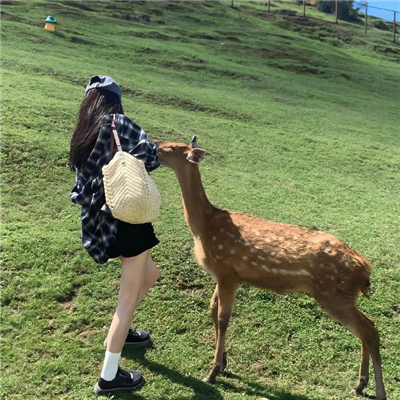 Sabina Cotton (iiiiic.lens) Lens social identity (.lens handle) PFP