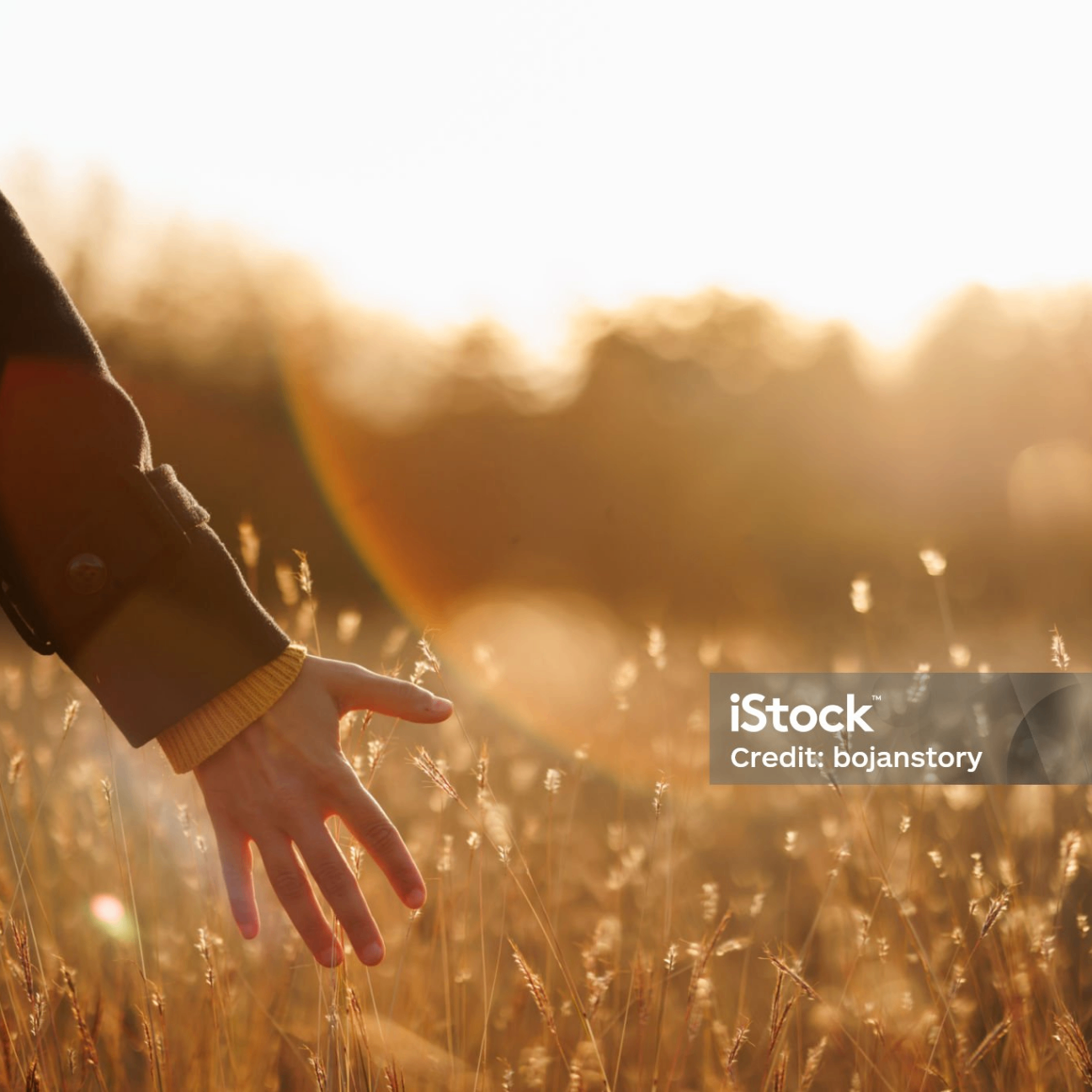 lilli (liliput52.lens) Lens social identity (.lens handle) PFP