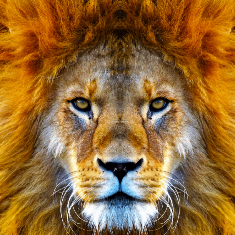 esi (takefive.lens) Lens social identity (.lens handle) PFP