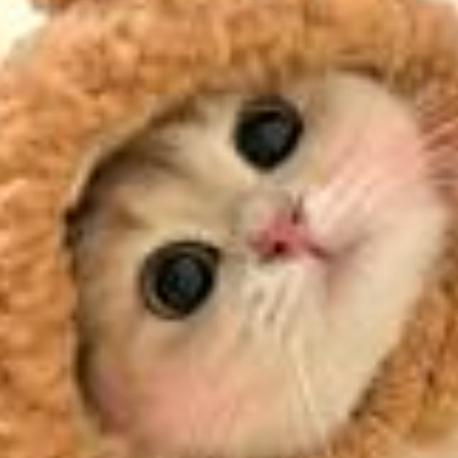 nhaov (zzzzk.lens) Lens social identity (.lens handle) PFP