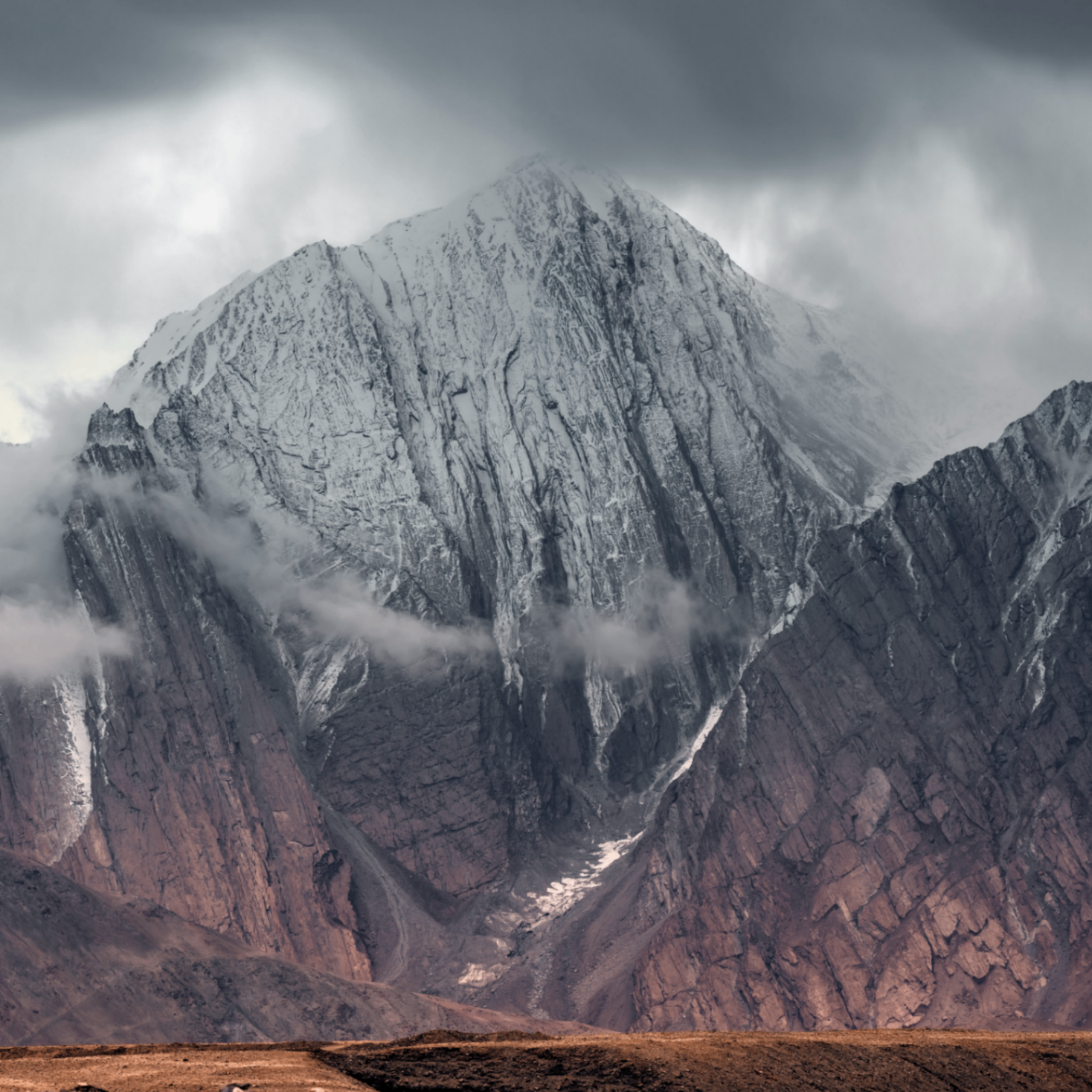 dulciela (dulciela.lens) Lens social identity (.lens handle) PFP