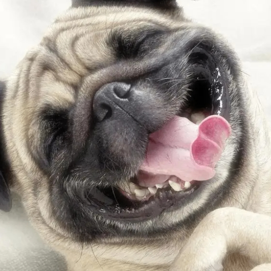 Chasel Lawrence (nnnsss.lens) Lens social identity (.lens handle) PFP