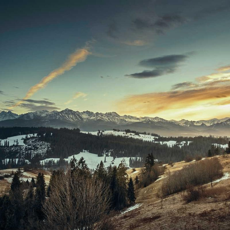 debugDuke (ahmadlara422.lens) Lens social identity (.lens handle) PFP