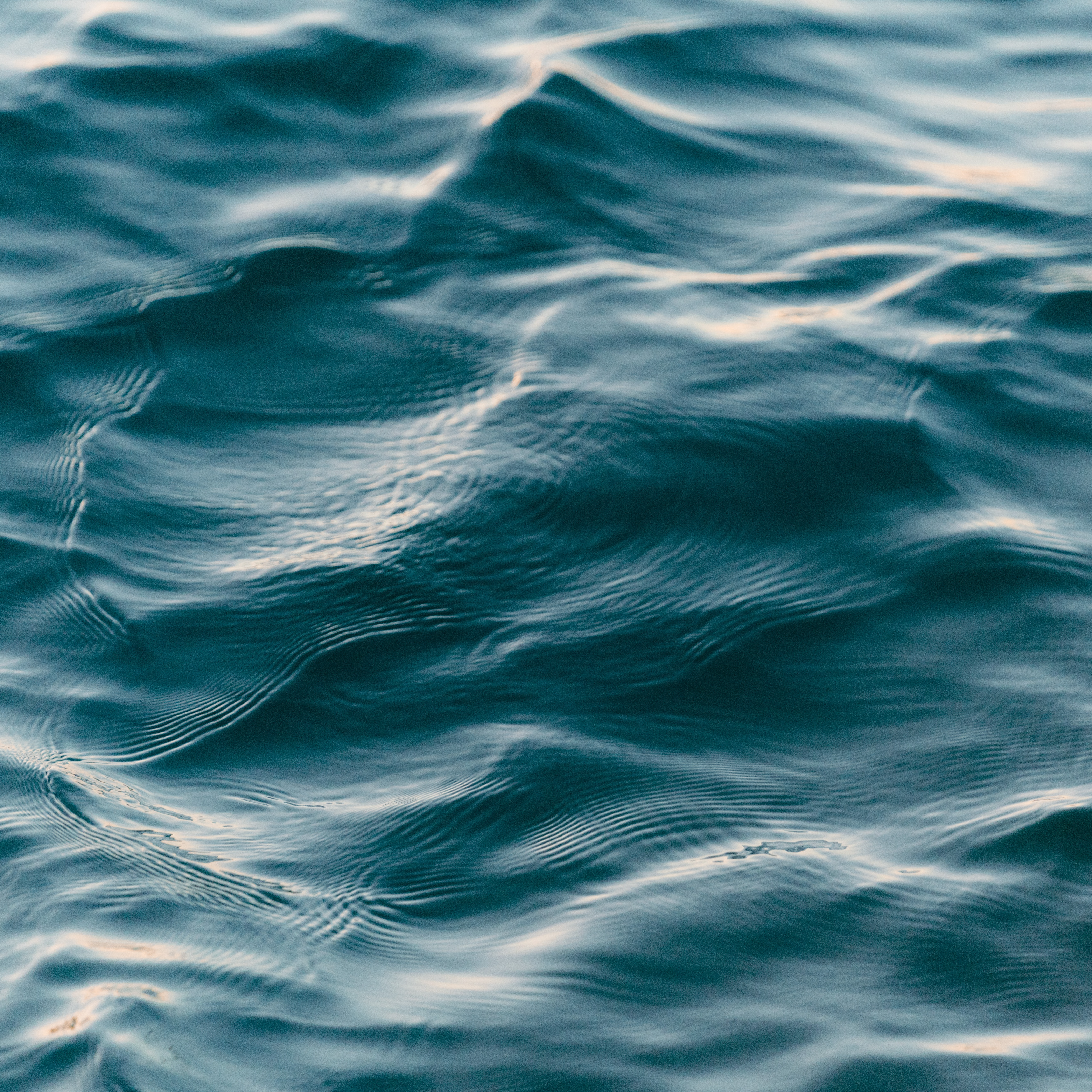 alexjrd (danjames.lens) Lens social identity (.lens handle) PFP