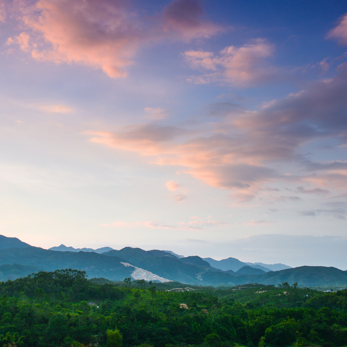 mmoo (mmoo88.lens) Lens social identity (.lens handle) PFP