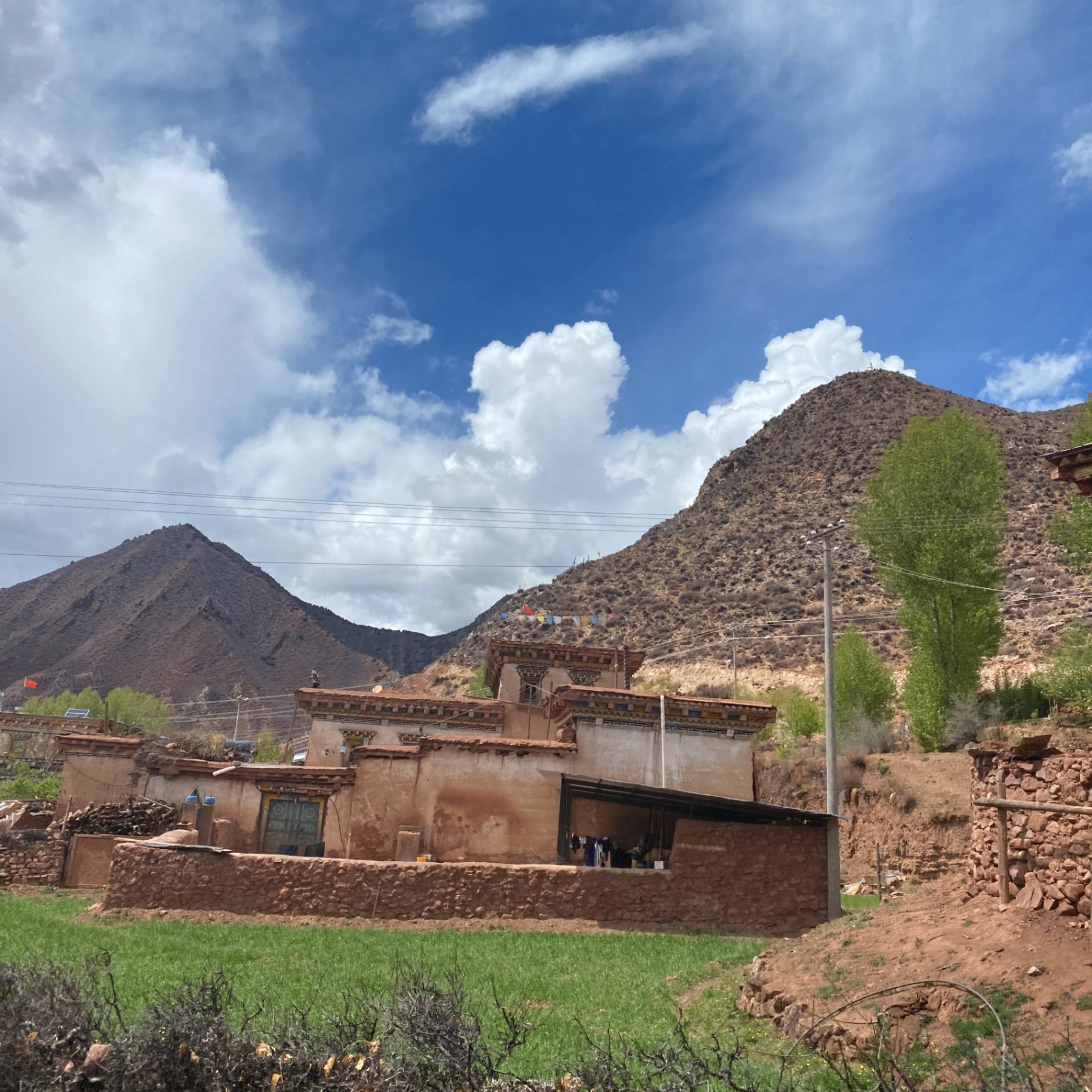 ss (kd9e7744h8rojrufej.lens) Lens social identity (.lens handle) PFP