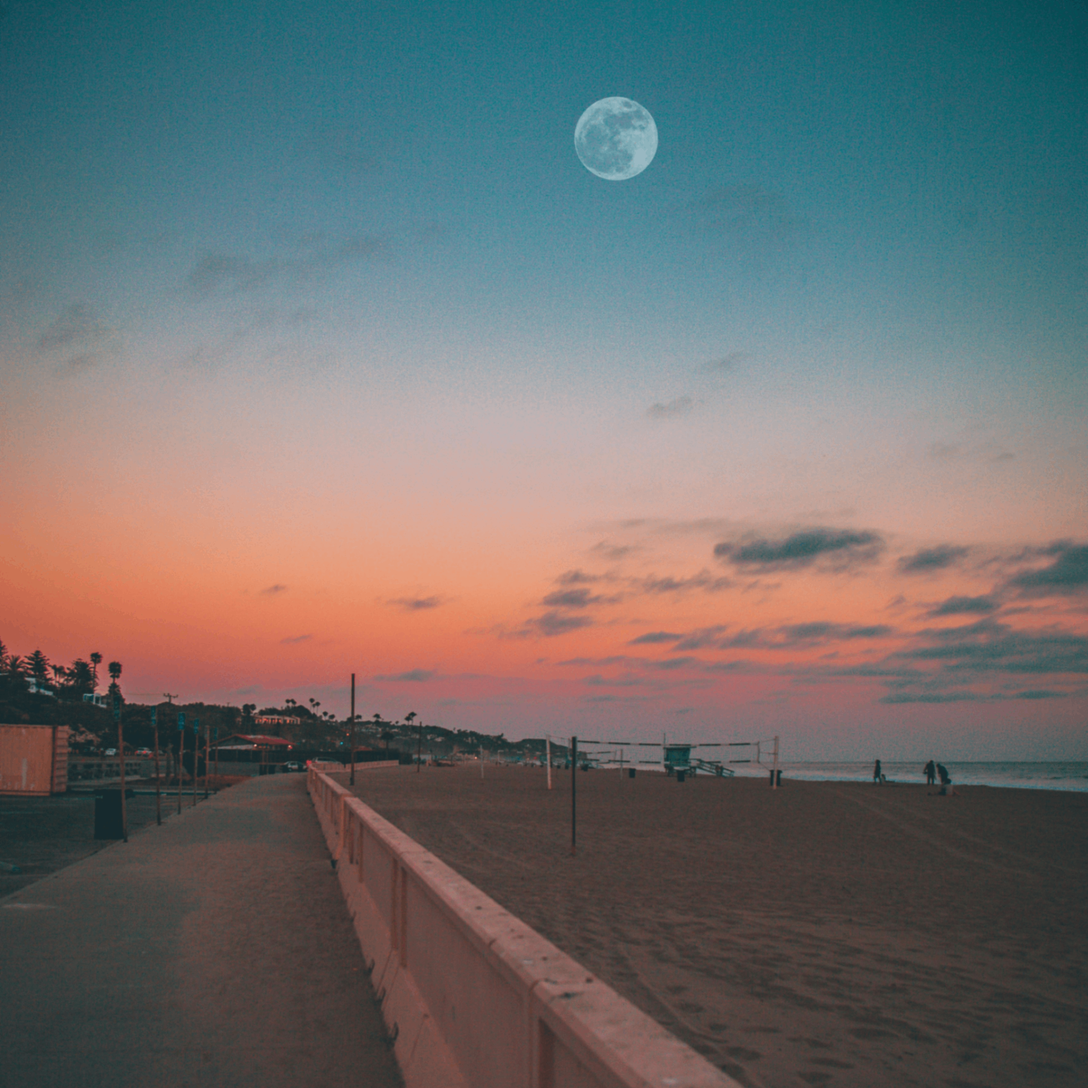 Salan (salan.lens) Lens social identity (.lens handle) PFP