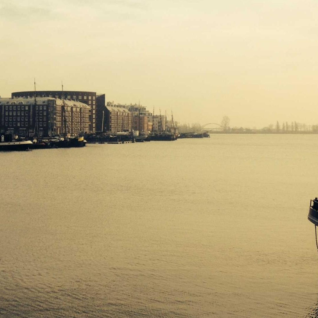 melodyMaestro (barnbiara.lens) Lens social identity (.lens handle) PFP