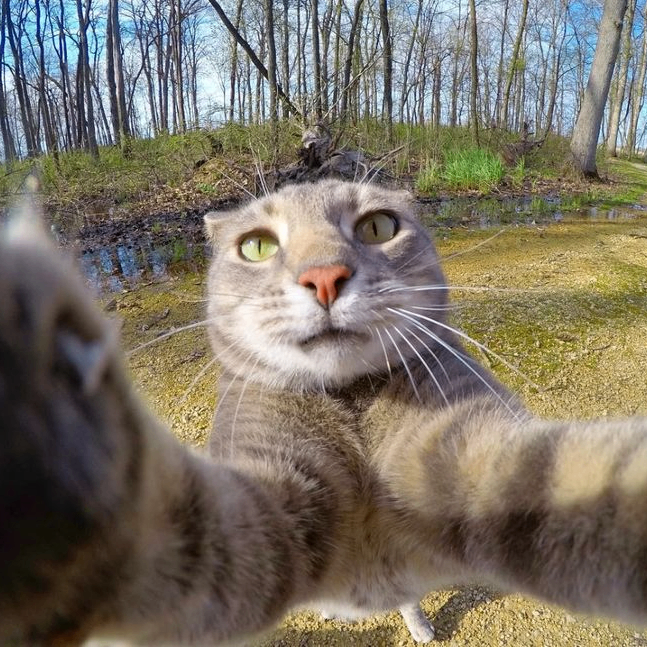 Marinasup (marinasuper.lens) Lens social identity (.lens handle) PFP