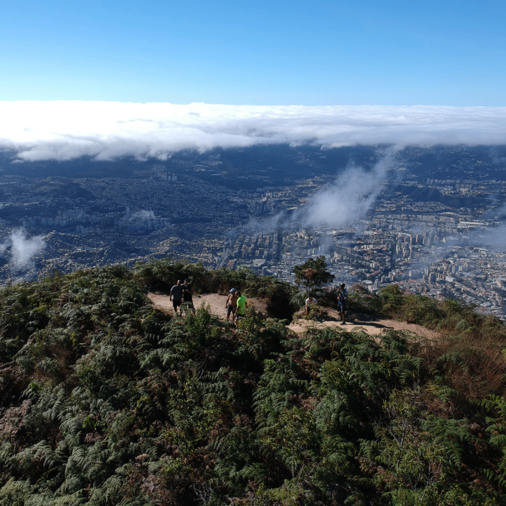 Daniel (danielito.lens) Lens social identity (.lens handle) PFP