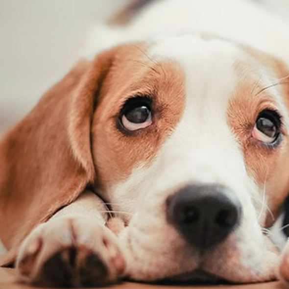 uhuihjhj (lbbbb.lens) Lens social identity (.lens handle) PFP