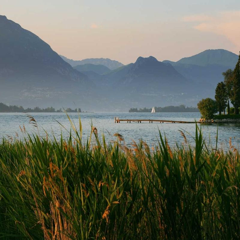 coralCustodian (pironestil72109.lens) Lens social identity (.lens handle) PFP