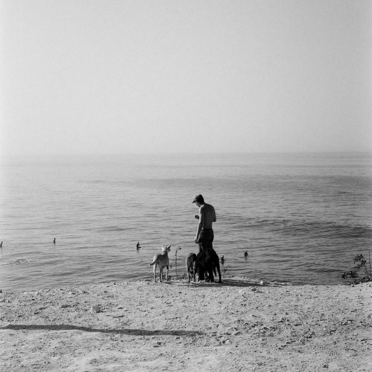 Alexander Wilson (camouflag.lens) Lens social identity (.lens handle) PFP