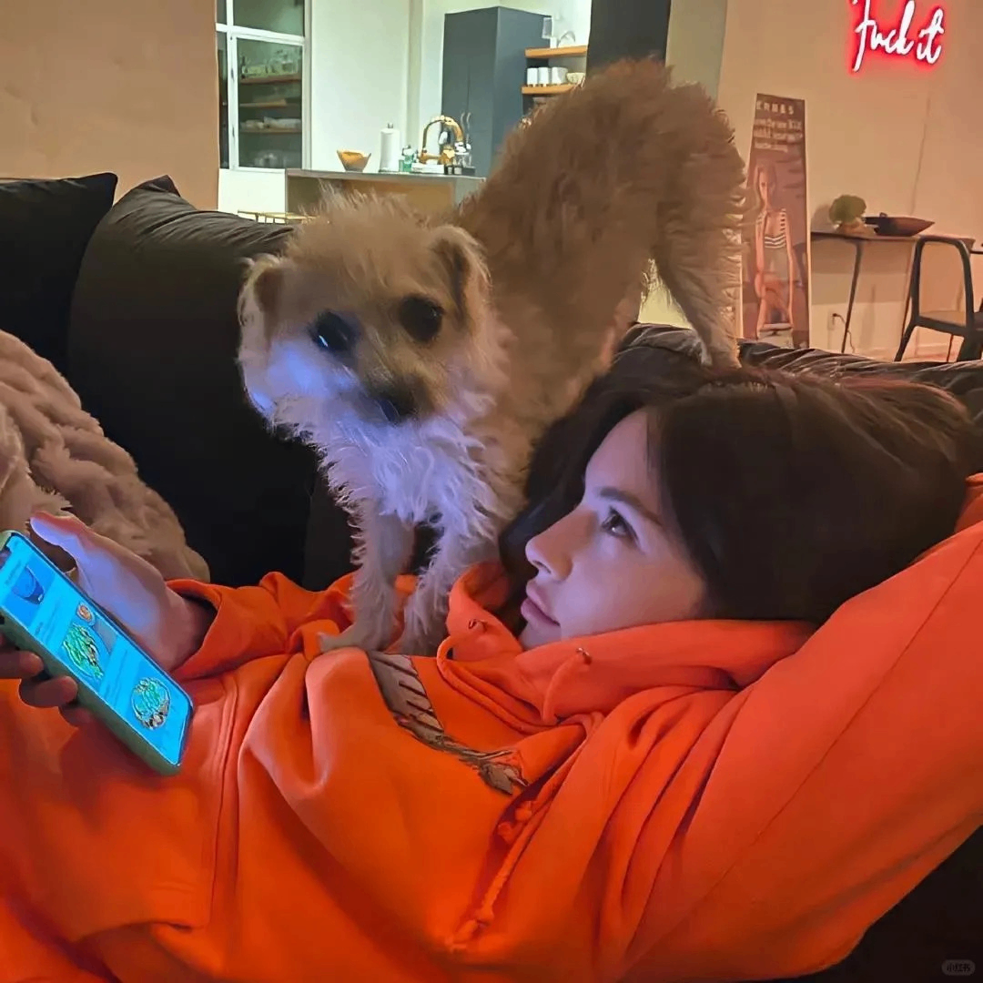 dhgalol (roderickj.lens) Lens social identity (.lens handle) PFP