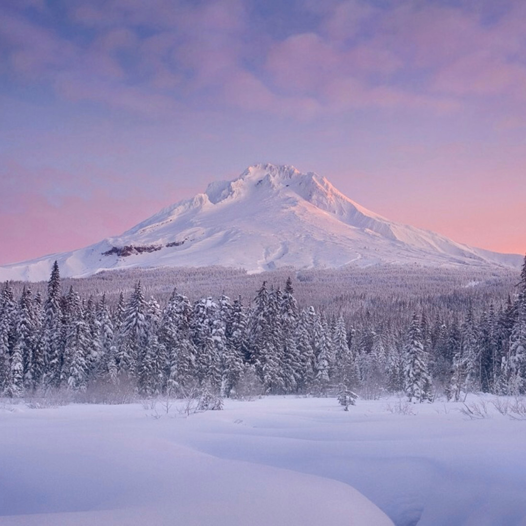 CGBJN (coinify.lens) Lens social identity (.lens handle) PFP