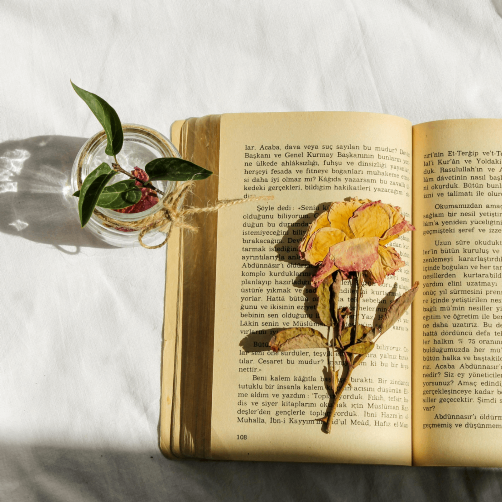 Unmpo (unmpo.lens) Lens social identity (.lens handle) PFP