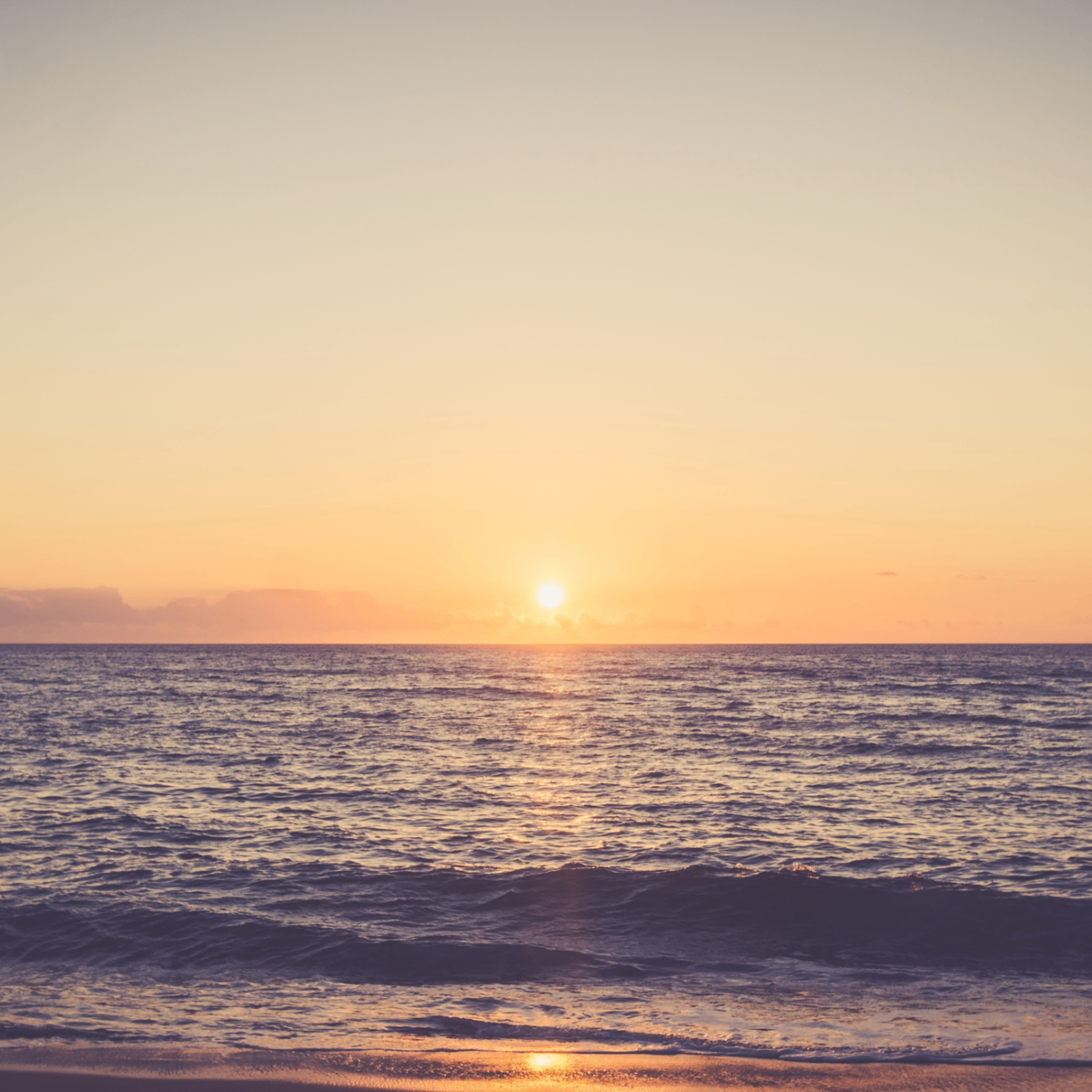 dfxh (zolplex.lens) Lens social identity (.lens handle) PFP