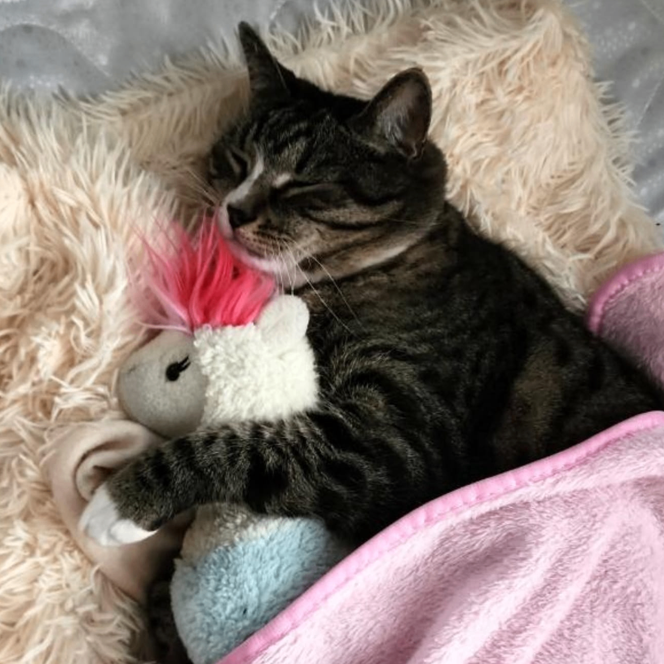 HolyWave (holywave.lens) Lens social identity (.lens handle) PFP