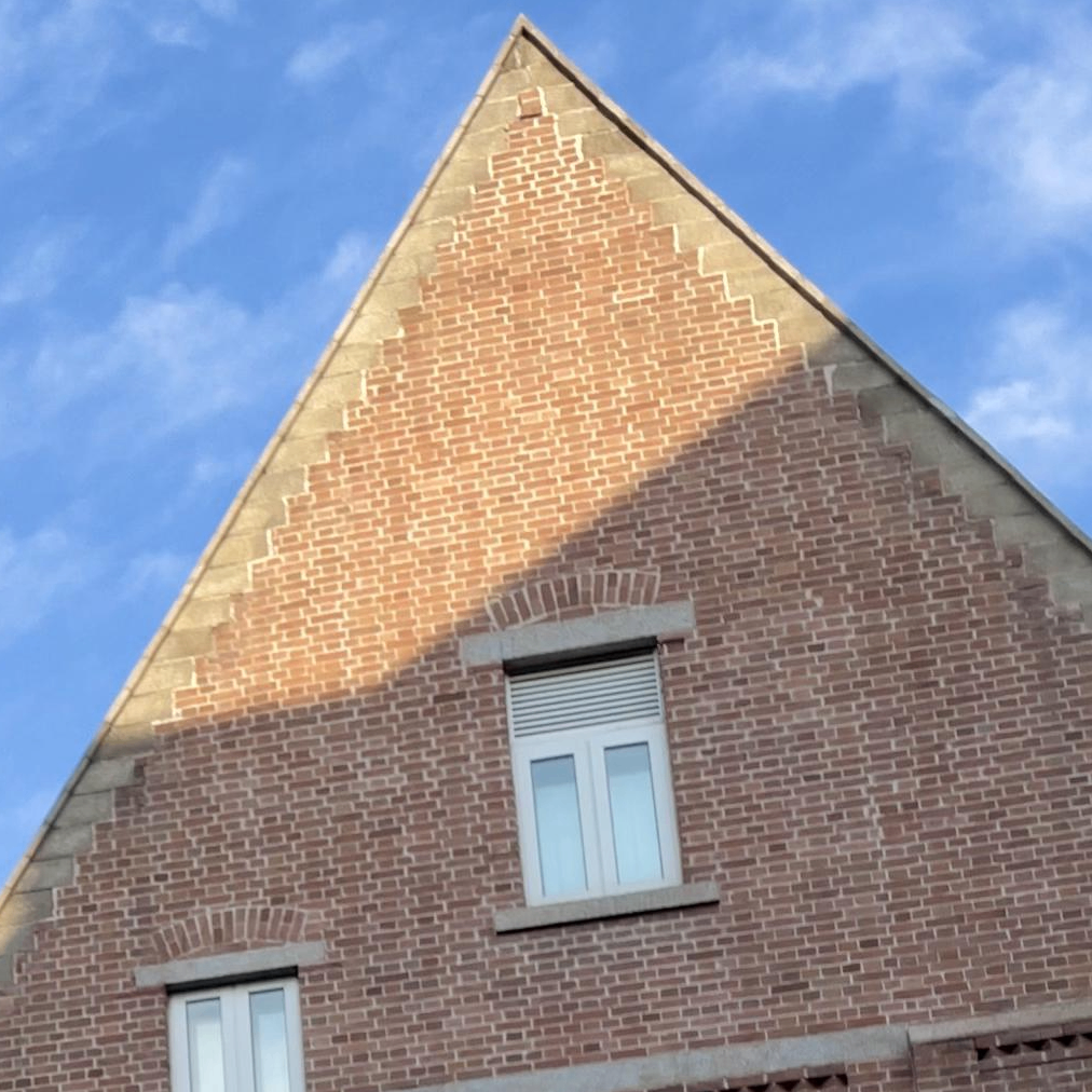 laobiong (mploi.lens) Lens social identity (.lens handle) PFP