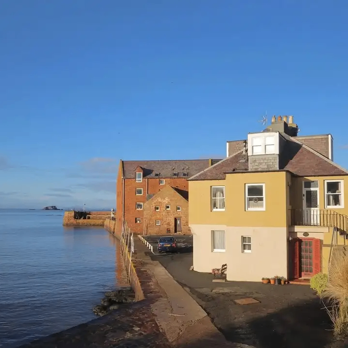 chamaland (chamaland.lens) Lens social identity (.lens handle) PFP