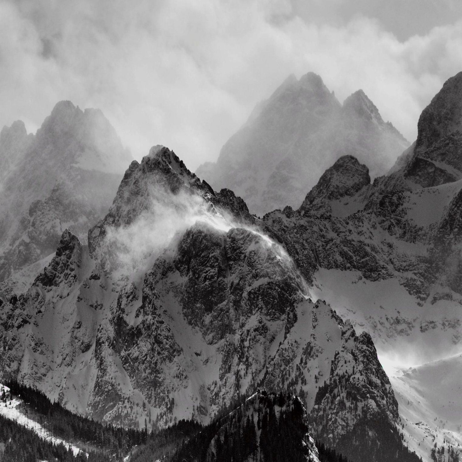 sds (loxen.lens) Lens social identity (.lens handle) PFP