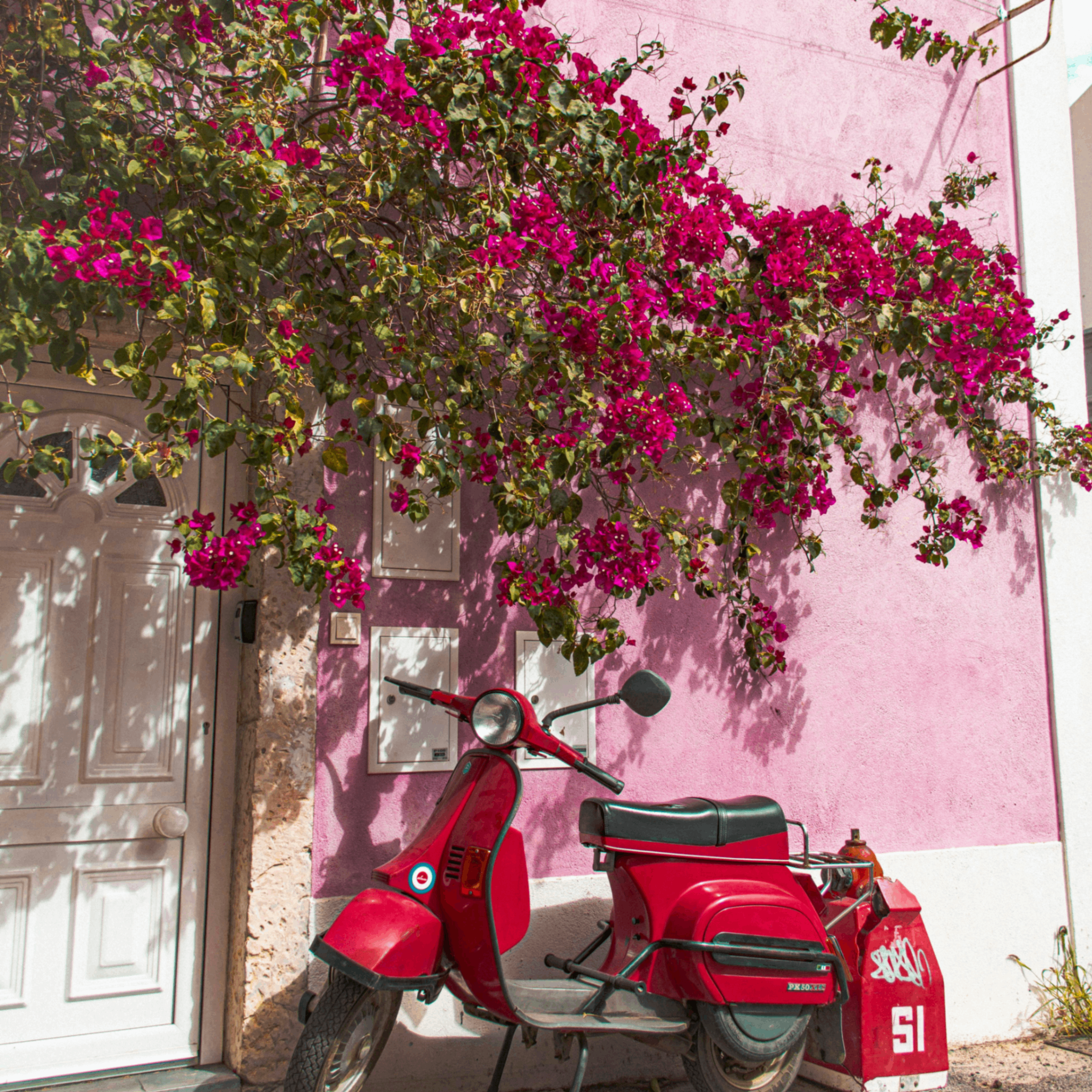 Esoen (esoen.lens) Lens social identity (.lens handle) PFP