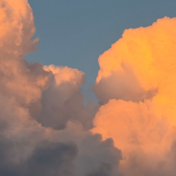 Solsticefer (solstice772.lens) Lens social identity (.lens handle) PFP