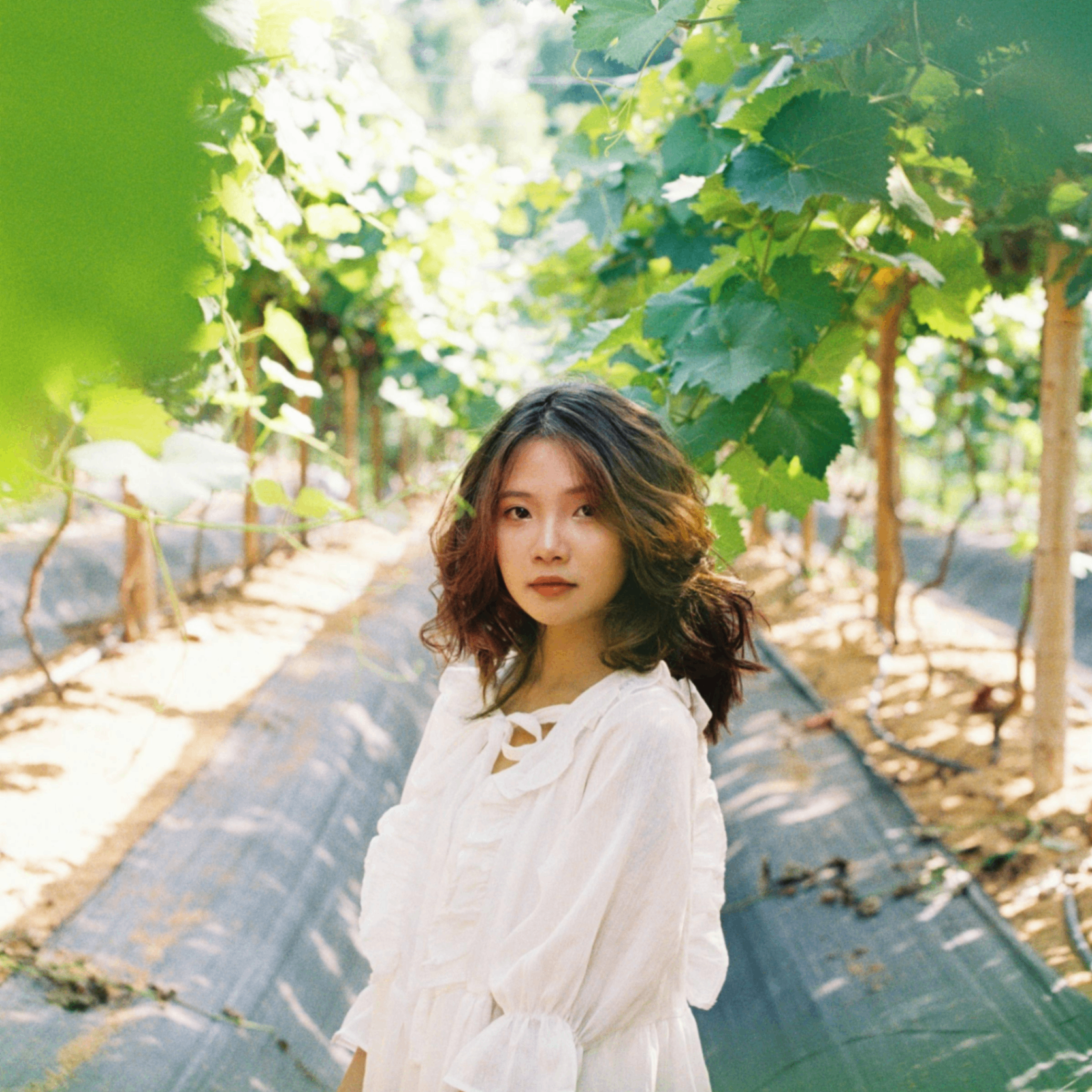 earnesd (earnesd.lens) Lens social identity (.lens handle) PFP