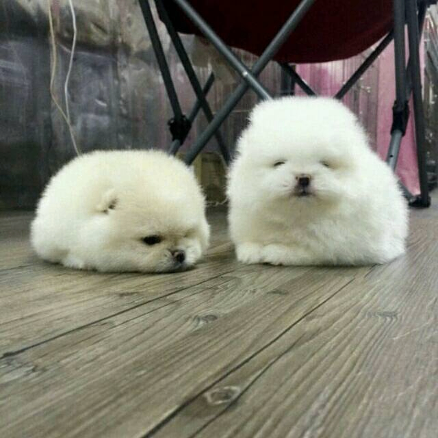 Loriann Zina (653hfgj.lens) Lens social identity (.lens handle) PFP