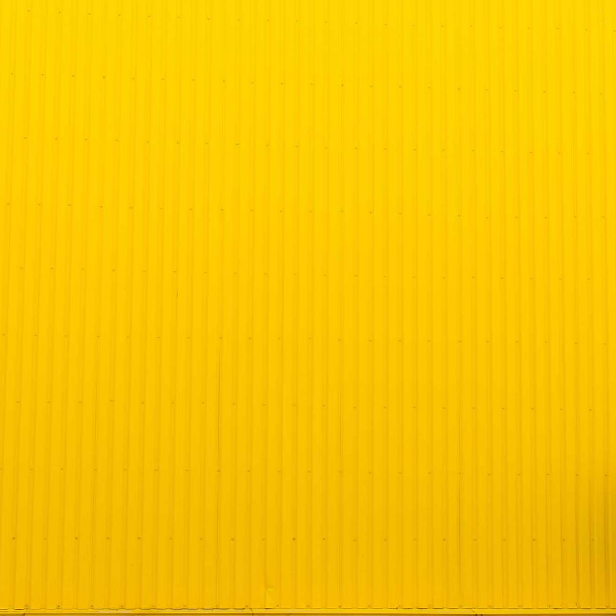 ridgeRover (emogenetorphy.lens) Lens social identity (.lens handle) PFP