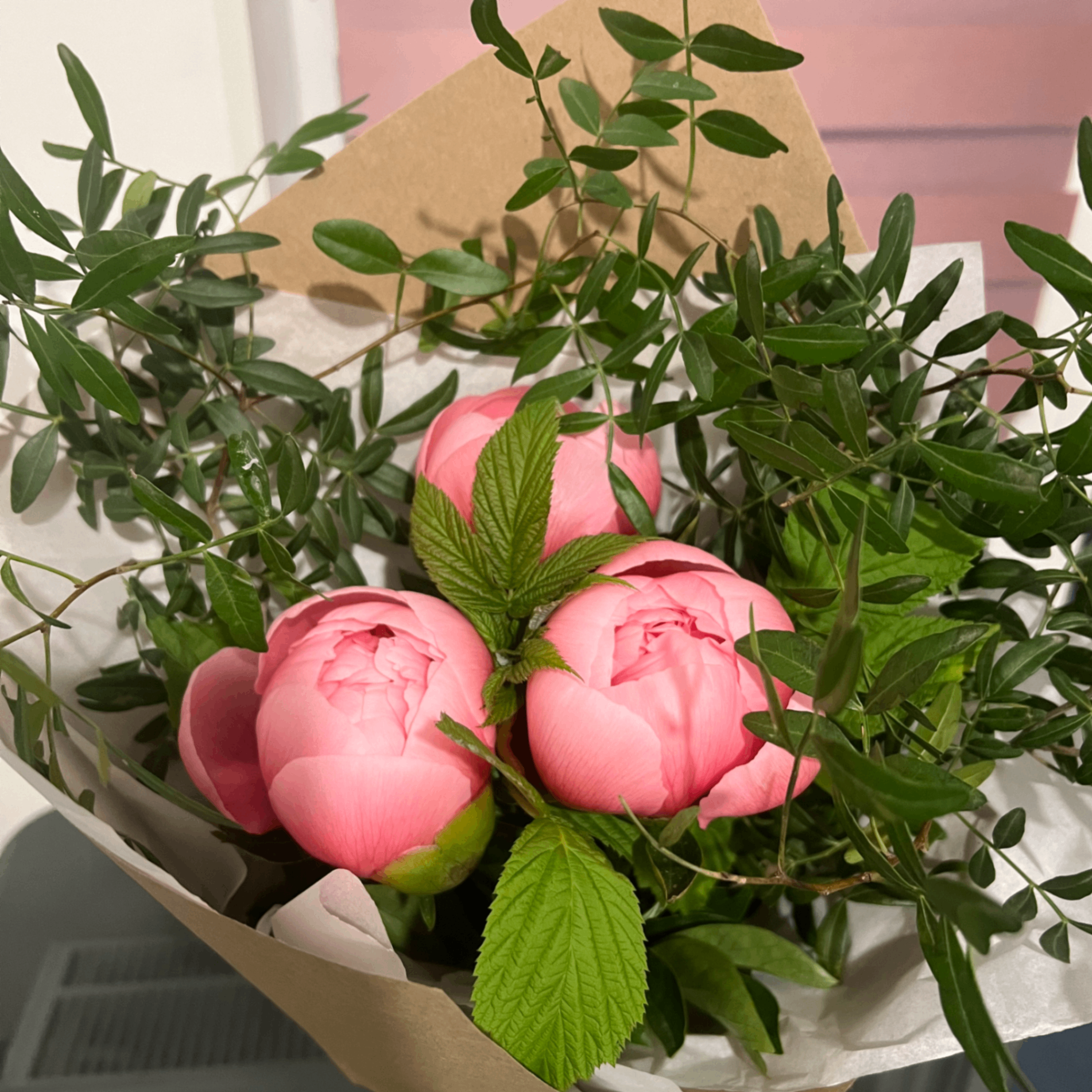 Irina Korshunova (irakorsh.lens) Lens social identity (.lens handle) PFP